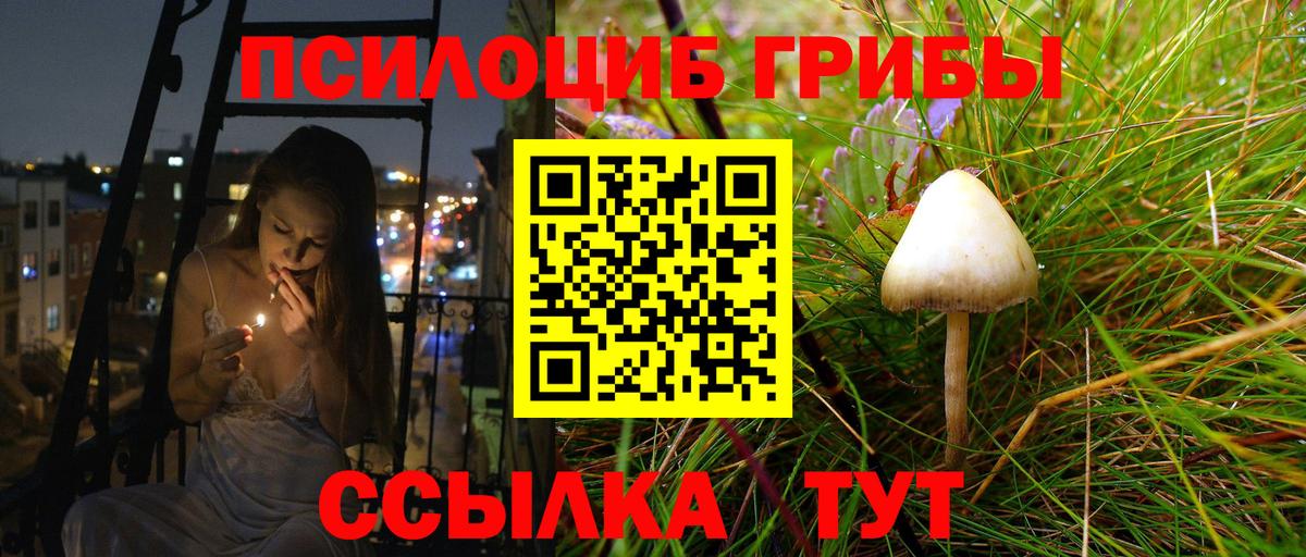 Псилоцибиновые грибы прущие грибы  купить наркоту  Топки  Галлюциногенные грибы MAGIC MUSHROOMS  Вход с VPN 