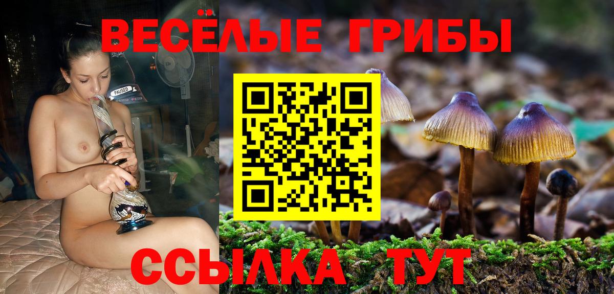 Псилоцибиновые грибы мицелий Топки